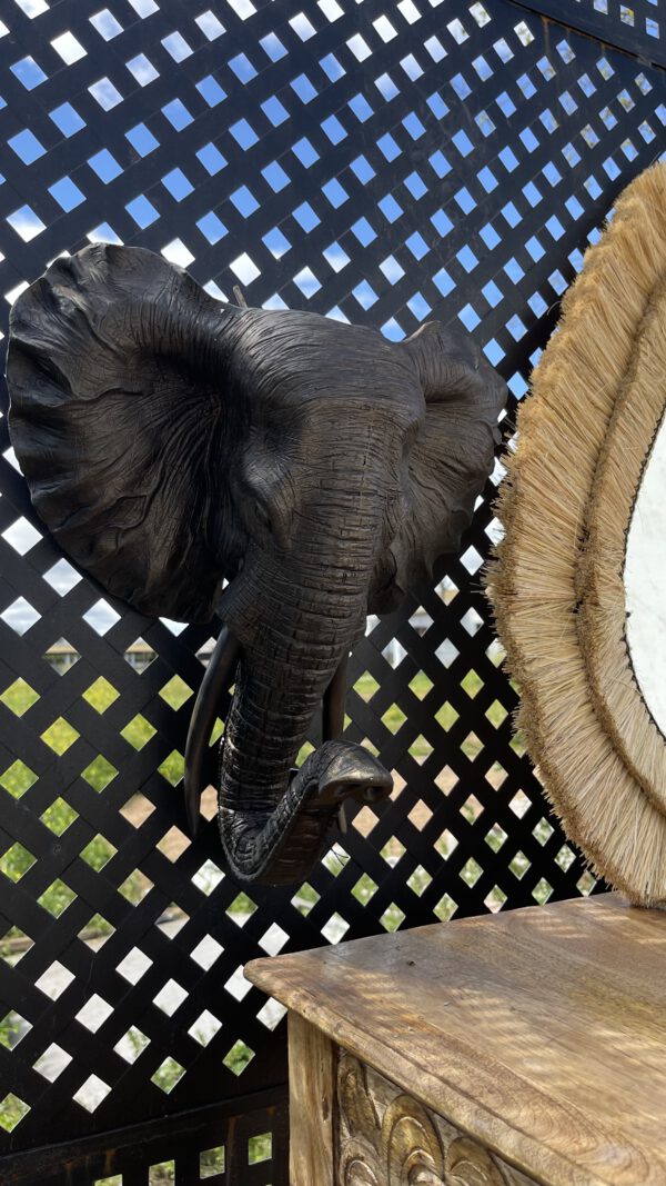 ELEFANTE - Imagen 4